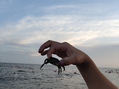 -老虎石海上公园