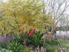 -梦幻奥陶纪景区