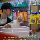 宇宙萌宠“甜茶🐱”日记｜办个VIP做宠物届顶流🚀