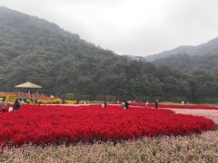 -广州市石门国家森林公园