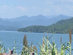 -宝荣鱼馆·临湖之宴(千岛湖店)