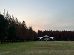 -黄海国家森林公园