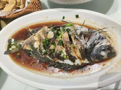 -洲晓鲜·舟山海鲜大排档(朱家尖风景区店)