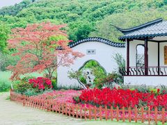 -苏州上方山国家森林公园
