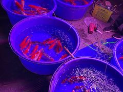 -中环花鸟鱼虫市场