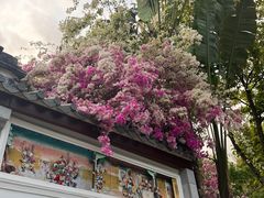 -深圳国际园林花卉博览园