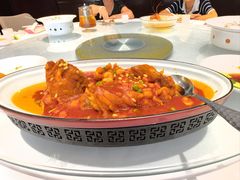 -席家花园(巨鹿花园店)