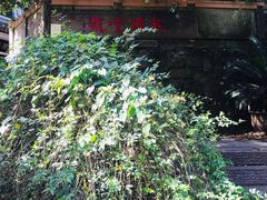-龙井壹号·茶缘山景宴(龙井村店)