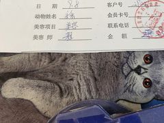 -北京观赏动物医院·24小时大型综合·猫专科·异宠专科