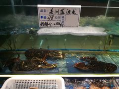 海鲜-海鲜城大家餐厅