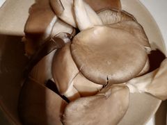 -岗上渣渣老火锅(两路口店)