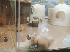 -宠物世家(仲盛世界商城店)