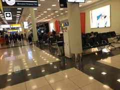 -谢列梅捷沃国际机场