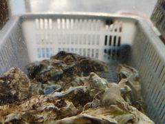 -富临港·蒸汽海鲜·手抓海鲜·炒菜(栈桥店)