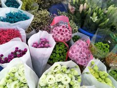 -秦美花卉(天朗·莱茵小城2期店)