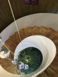 -比华利美容医院