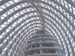 -凤凰中心