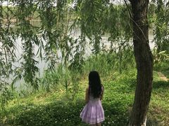 -白鹭湾湿地公园