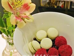 -蝶舍·MAISON PAPILLON