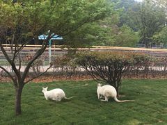 -无锡动物园·太湖欢乐园