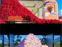 -兴芮温泉度假区
