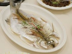 虾籽蒸白鱼-得月楼·省级非遗·传统苏帮菜(观前店)