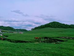 -关山草原