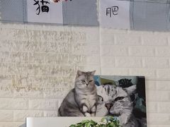 -平行世界·猫咖(首经贸店)