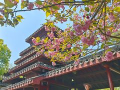 -南汇桃花村