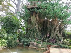 -祥源·阜阳生态乐园