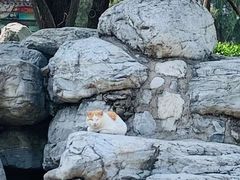 -八大处公园