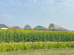 -中国天府农业博览园