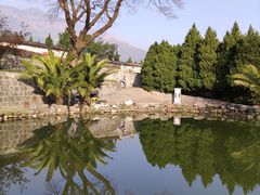 -蝴蝶泉公园