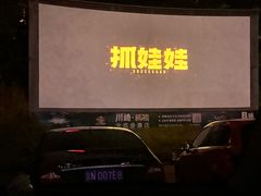 -枫花园汽车电影院(朝阳公园店)