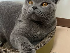 -芭比堂动物医院广州顽皮分院