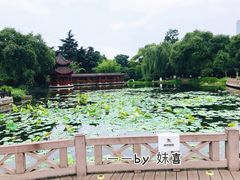景点-橘子洲景区