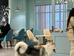 -安格丽娜·狗咖·猫咖羊驼咖(春熙路百盛商场店)