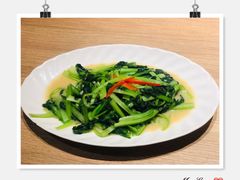 椒丝腐乳有机蔬菜-觅唐MITONG(鸟巢店)