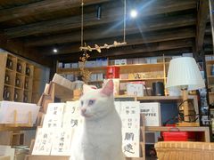 -新月集庭院咖啡馆(老邮局店)