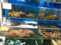 水产区-蚝专家(北滘店)