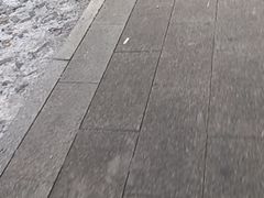 -海尔巴格一甸茶餐厅(团结路店)
