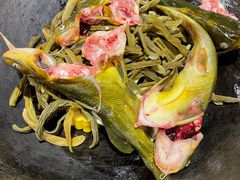 干豆角-鸽子刘铁锅炖鱼(劲松店)