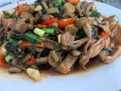 酸菜猪肚-阿清嫂农家乐.黎窑烤鸡