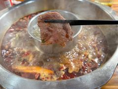 -金鼎雪山牦牛杂火锅(理县总店)