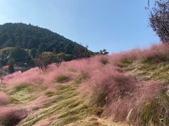 -龙洞风景区-藏龙涧