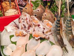 -禄婶鸡煲·打边炉