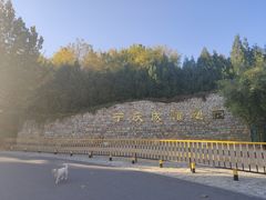 -府君山公园