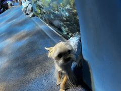 -太平洋海底世界