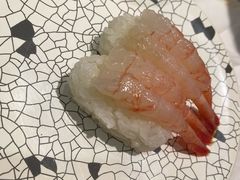 -大起水产回转寿司(道顿堀店)