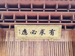 -深圳仙湖植物园